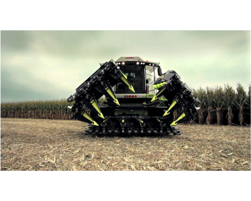 Жатка OLIMAC DRAGO GT для уборки кукурузы