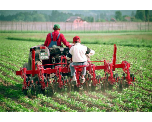 Культиватор ОК-4